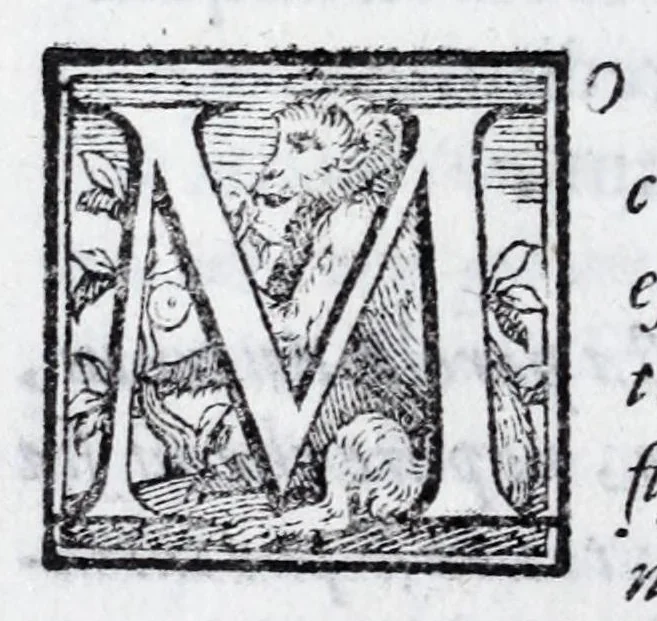 An illustration from L'istoria di Verona, del sig. Girolamo dalla Corte gentil'huomo veronese : divisa in dve parti, et in XXII libri : nella qvale non solo a pieno si contengono le cose pertinenti alla detta città, ma molte altre ancora si toccano, che alle altre città, & luoghi circonuicini si aspettano : con la tauola in ciascuna parte delle cose più notabili, 1592, leaf 118