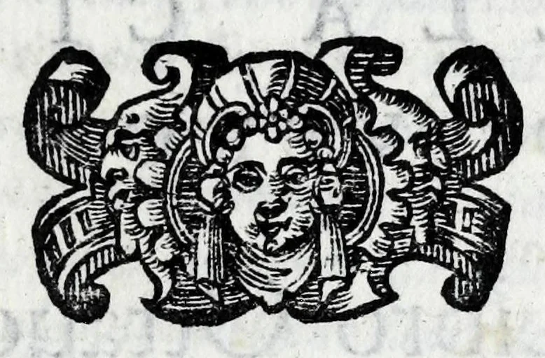 An illustration from L'istoria di Verona, del sig. Girolamo dalla Corte gentil'huomo veronese : divisa in dve parti, et in XXII libri : nella qvale non solo a pieno si contengono le cose pertinenti alla detta città, ma molte altre ancora si toccano, che alle altre città, & luoghi circonuicini si aspettano : con la tauola in ciascuna parte delle cose più notabili, 1592, leaf 461