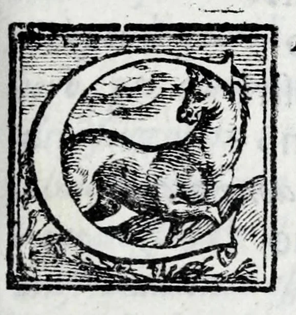 An illustration from L'istoria di Verona, del sig. Girolamo dalla Corte gentil'huomo veronese : divisa in dve parti, et in XXII libri : nella qvale non solo a pieno si contengono le cose pertinenti alla detta città, ma molte altre ancora si toccano, che alle altre città, & luoghi circonuicini si aspettano : con la tauola in ciascuna parte delle cose più notabili, 1592, leaf 523