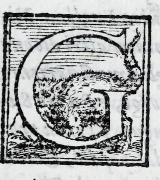 An illustration from L'istoria di Verona, del sig. Girolamo dalla Corte gentil'huomo veronese : divisa in dve parti, et in XXII libri : nella qvale non solo a pieno si contengono le cose pertinenti alla detta città, ma molte altre ancora si toccano, che alle altre città, & luoghi circonuicini si aspettano : con la tauola in ciascuna parte delle cose più notabili, 1592, leaf 515