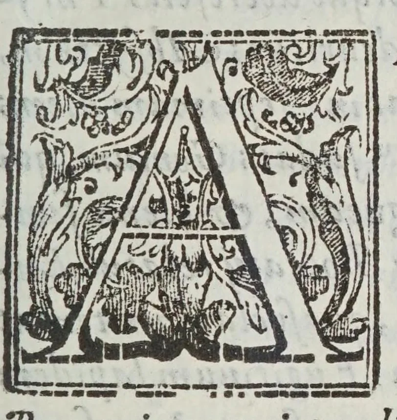 An illustration from Litheosphorvs, sive, De lapide bononiensi lucem in se conceptam ab ambiente claro mox in tenebris mire conseruante, 1640, leaf 11