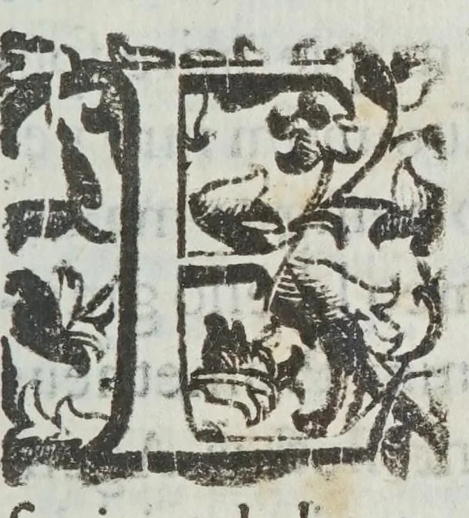 An illustration from Litheosphorvs, sive, De lapide bononiensi lucem in se conceptam ab ambiente claro mox in tenebris mire conseruante, 1640, leaf 3