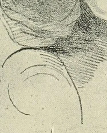 An illustration from Lithography and lithographers; some chapters in the history of the art, 1915, leaf 138