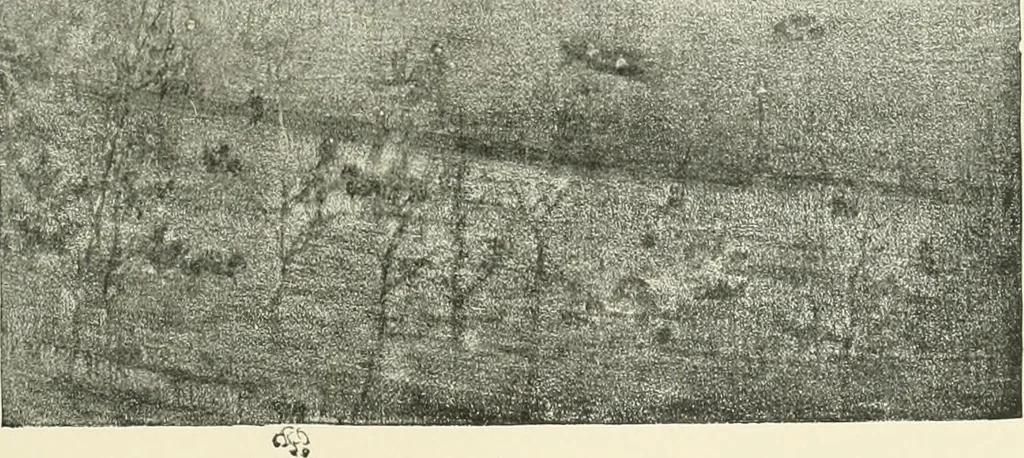 An illustration from Lithography and lithographers; some chapters in the history of the art, 1915, leaf 154