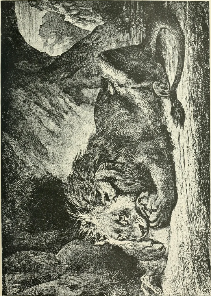 An illustration from Lithography and lithographers; some chapters in the history of the art, 1915, leaf 84