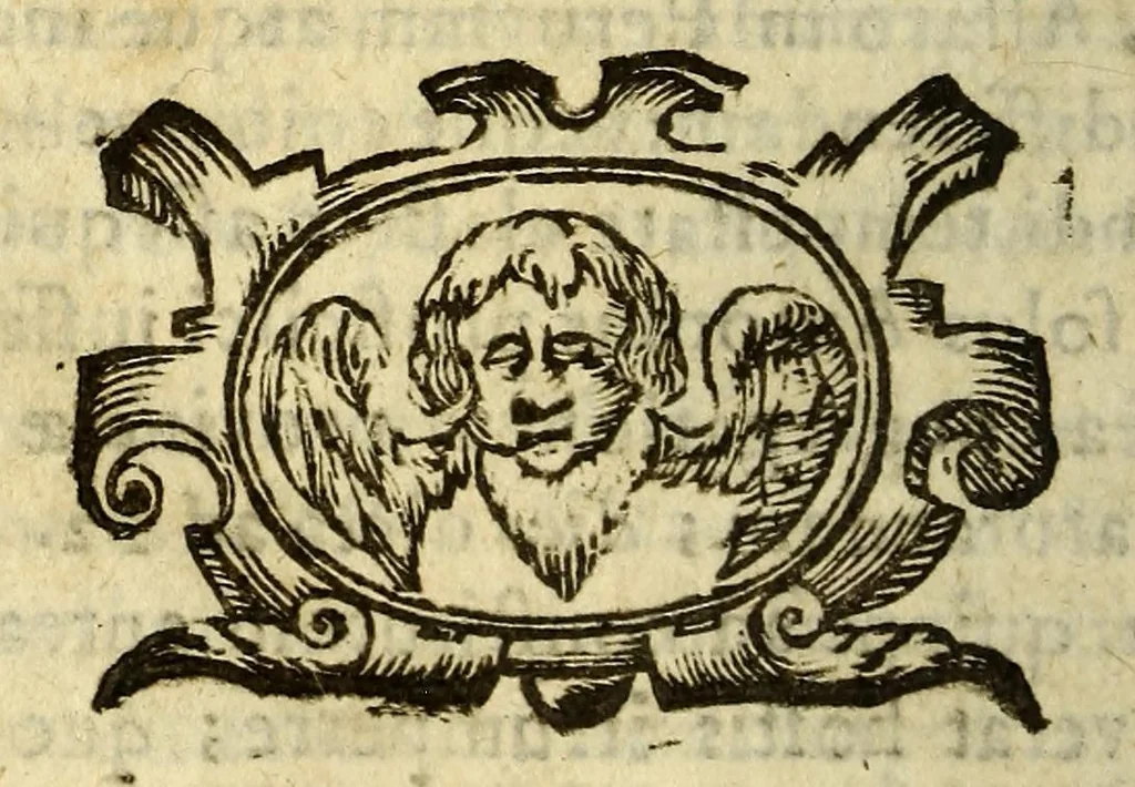 An illustration from Litterae annuae Provinciae Paraquariae Societatis Iesu ad admodùm R.P. Mutium Vitellescum ejusdem societatis Praepositum Generalem : missae à R.P. Jacobo de Beroa Paraquariae praeposito provinciali, ex Hispanico autographo Latinè redditae à P. Francisco de Hamal Belgâ societatis ejusdem, 1642, leaf 212