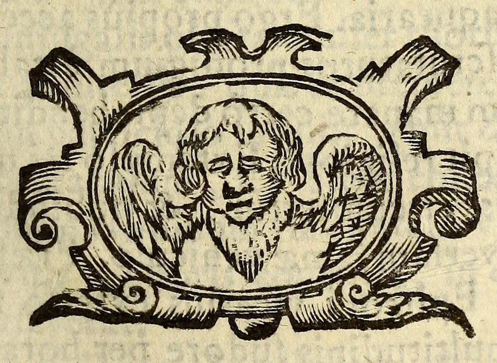 An illustration from Litterae annuae Provinciae Paraquariae Societatis Iesu ad admodùm R.P. Mutium Vitellescum ejusdem societatis Praepositum Generalem : missae à R.P. Jacobo de Beroa Paraquariae praeposito provinciali, ex Hispanico autographo Latinè redditae à P. Francisco de Hamal Belgâ societatis ejusdem, 1642, leaf 87