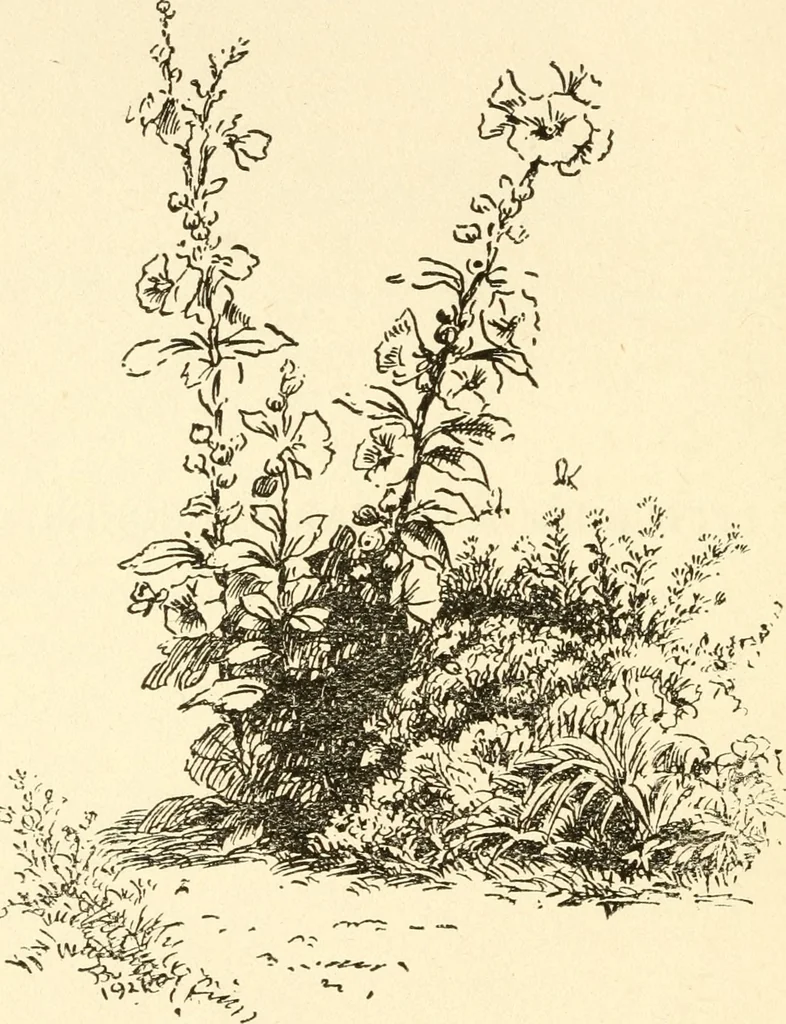 An illustration from Little book of garden songs, 1921, leaf 11