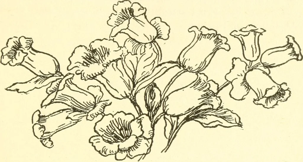 An illustration from Little book of garden songs, 1921, leaf 34