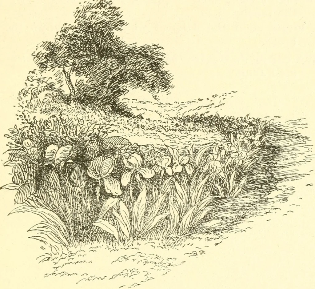An illustration from Little book of garden songs, 1921, leaf 38
