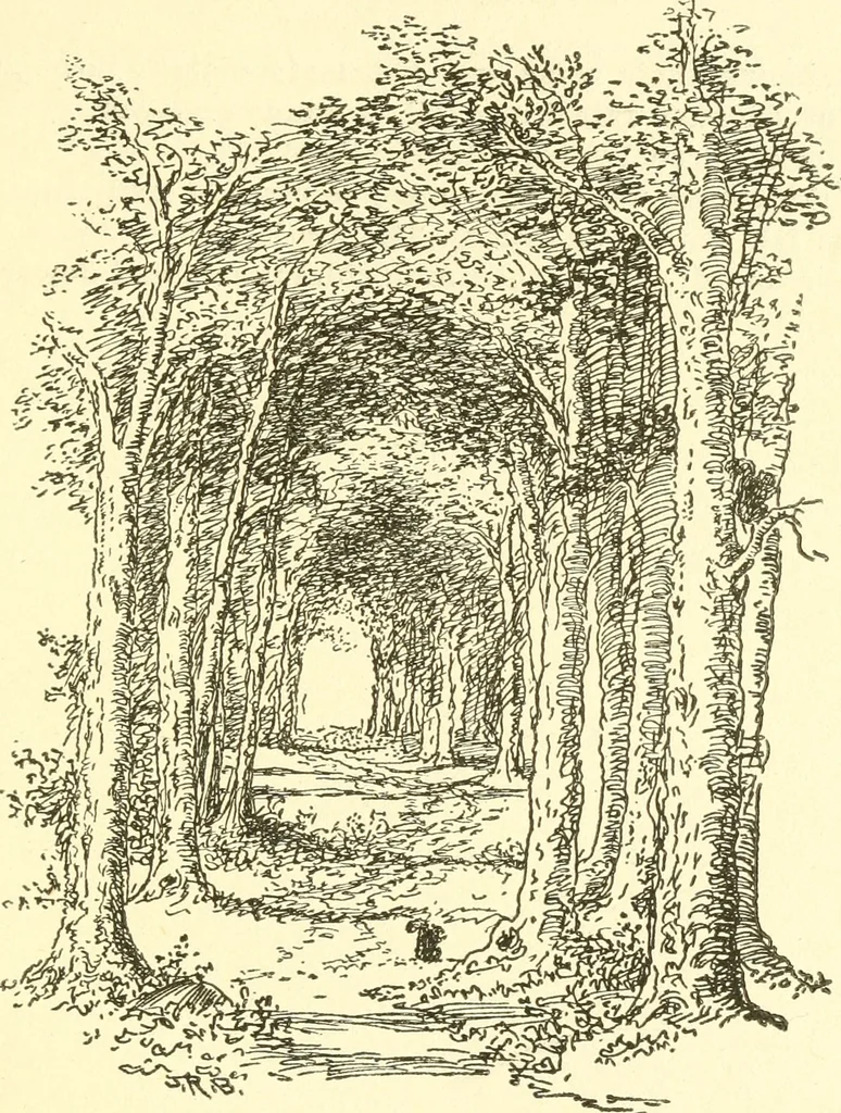 An illustration from Little book of garden songs, 1921, leaf 42