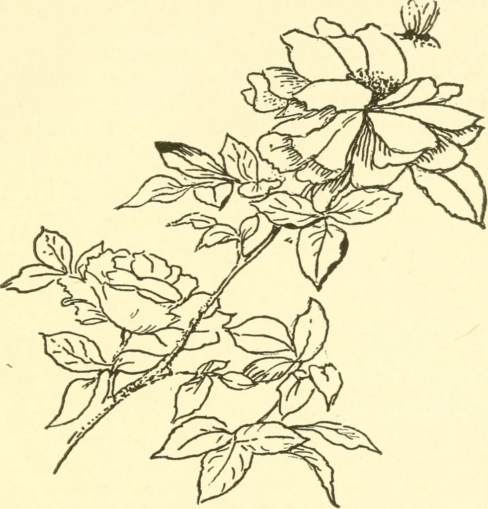 An illustration from Little book of garden songs, 1921, leaf 46