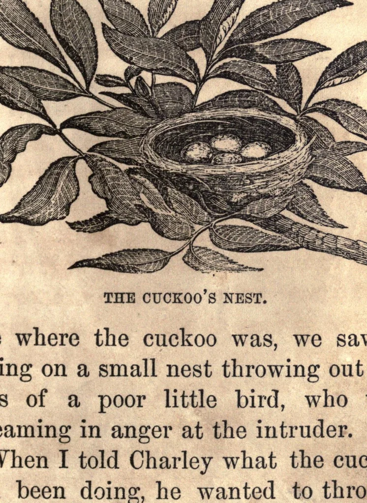 An illustration from Little Charley's games and sports, 1854, leaf 51