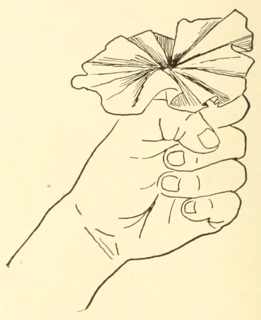 An illustration from Little folks' handy book, 1910, leaf 158