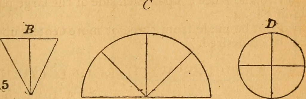 An illustration from The little gold mine. Conklin's handy manual of the mechanical arts and house plans .., 1889, leaf 378