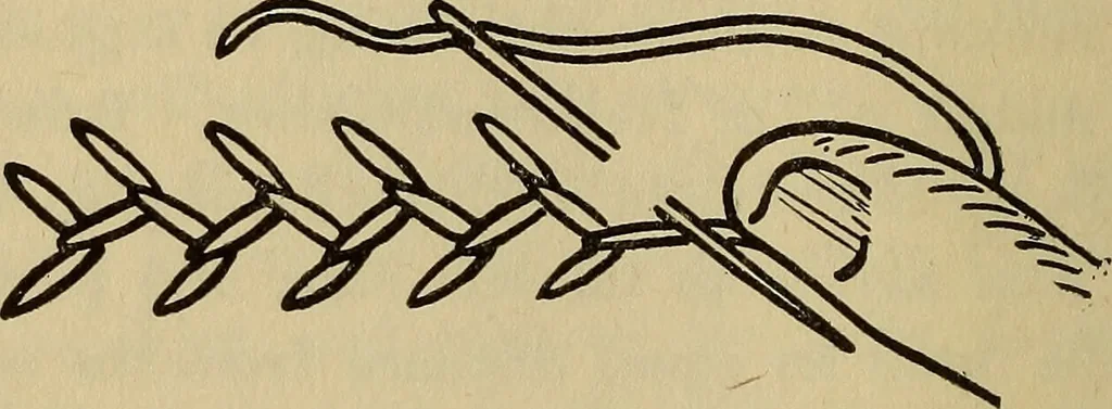 An illustration from A little sewing book for a little girl, 1918, leaf 171