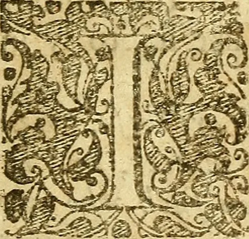 An illustration from A little stone pretended to be out of the mountain, tried and found to be a counterfeit : or, An examination and refutation of Mr. Lockyer's lecture concerning the visible church .., 1654, leaf 20