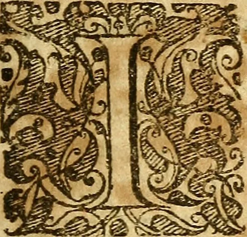 An illustration from A little stone pretended to be out of the mountain, tried and found to be a counterfeit : or, An examination and refutation of Mr. Lockyer's lecture concerning the visible church .., 1654, leaf 212