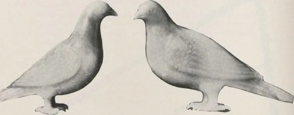 An illustration from Illustrated catalogue of the important collection of antique Chinese porcelains, Sung and Ming potteries, ancient stone sculptures, carved jades and other hard stones, snuff bottles, Mandarin necklaces, bronzes, enamels, palace furniture and wall panels and a number of rare and fine ancient Chinese paintings of the Sung and Ming periods [electronic resource] : all of which are to be sold at unrestricted public sale by direction of the Chinese expert, Lee Van Ching of Shanghai on the afternoons herein stated, 1917, leaf 48