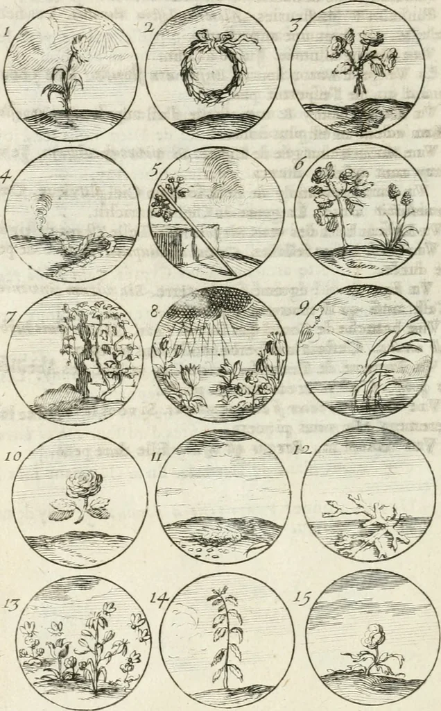 An illustration from Livre curieux et utile pour les sçavans et artistes : composé de trois alphabets de chiffres simples, doubles & triples, fleuronnez et au premier trait : accompagné d'un tres grand nombre de devises, emblêmes, médailles et autres figures hieroglyfiques : ensemble de plusieurs supports et cimiers pour les ornemens des armes : avec une table tres ample par le moyen de laquelle on trouvera facilement tous les noms imaginables, 1685, leaf 105