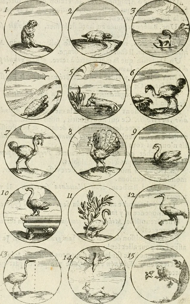 An illustration from Livre curieux et utile pour les sçavans et artistes : composé de trois alphabets de chiffres simples, doubles & triples, fleuronnez et au premier trait : accompagné d'un tres grand nombre de devises, emblêmes, médailles et autres figures hieroglyfiques : ensemble de plusieurs supports et cimiers pour les ornemens des armes : avec une table tres ample par le moyen de laquelle on trouvera facilement tous les noms imaginables, 1685, leaf 49