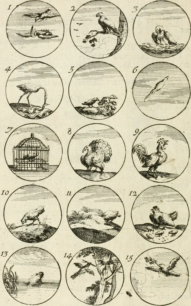 An illustration from Livre curieux et utile pour les sçavans et artistes : composé de trois alphabets de chiffres simples, doubles & triples, fleuronnez et au premier trait : accompagné d'un tres grand nombre de devises, emblêmes, médailles et autres figures hieroglyfiques : ensemble de plusieurs supports et cimiers pour les ornemens des armes : avec une table tres ample par le moyen de laquelle on trouvera facilement tous les noms imaginables, 1685, leaf 51