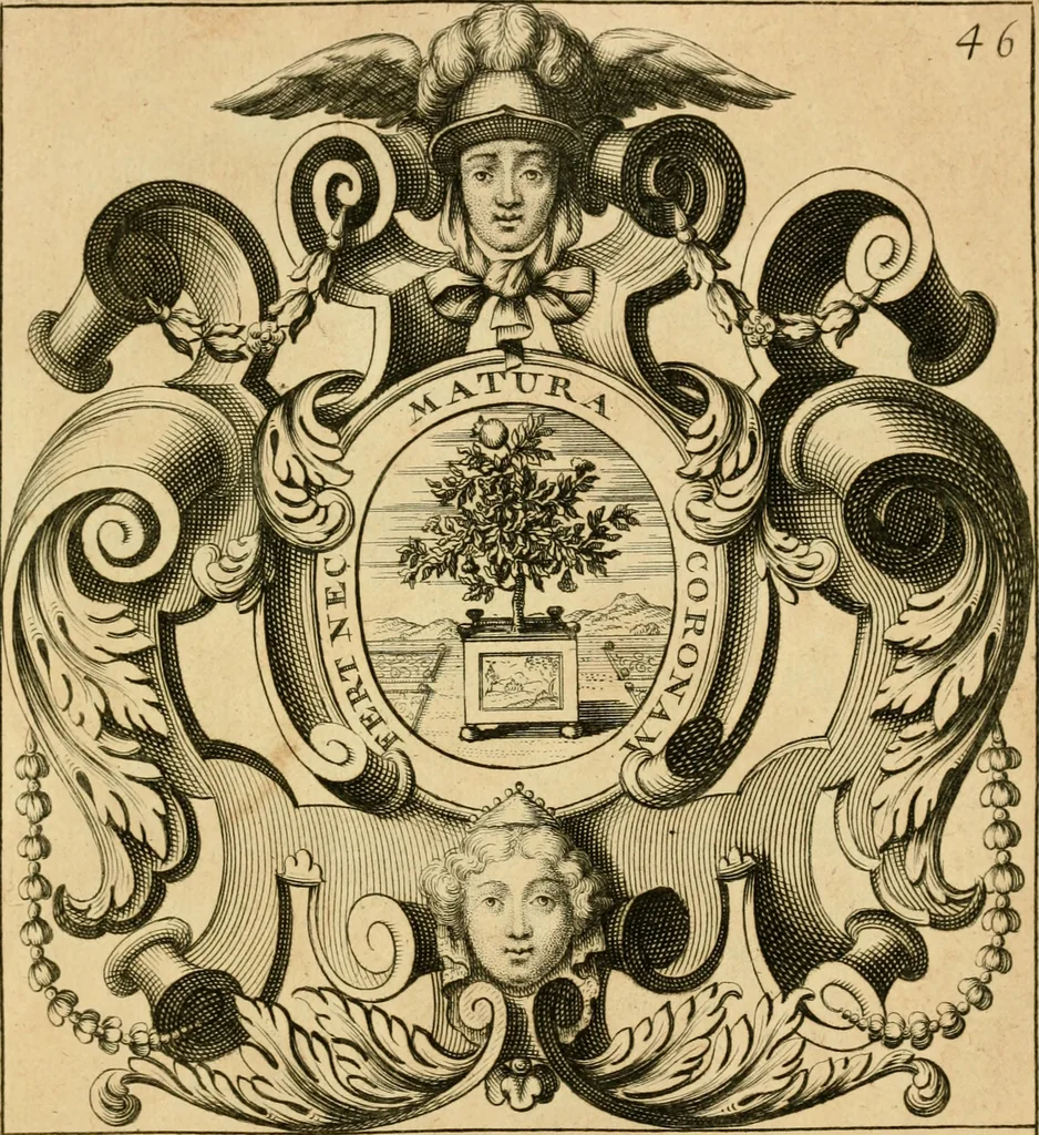 An illustration from Livre de chiffres a double traits, ou l'on trouve les noms & surnoms. : Vtile aux peintres, sculpteurs, graveurs et autres. Dedia Monseigneur le Dauphin, 1685, leaf 268
