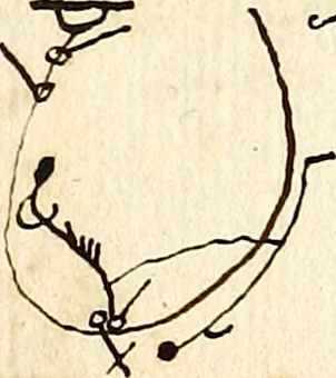 An illustration from Livre de danse : manuscript, 1700, leaf 42