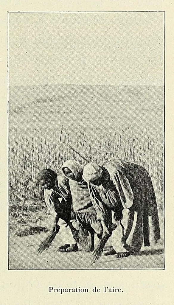 An illustration from Livre d'or de la mission du Lessouto. Soixante-quinze ans de l'histoire d'une tribu Sud-Africaine, 1833-1908, 1912, leaf 117