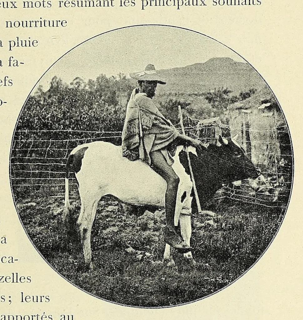 An illustration from Livre d'or de la mission du Lessouto. Soixante-quinze ans de l'histoire d'une tribu Sud-Africaine, 1833-1908, 1912, leaf 135