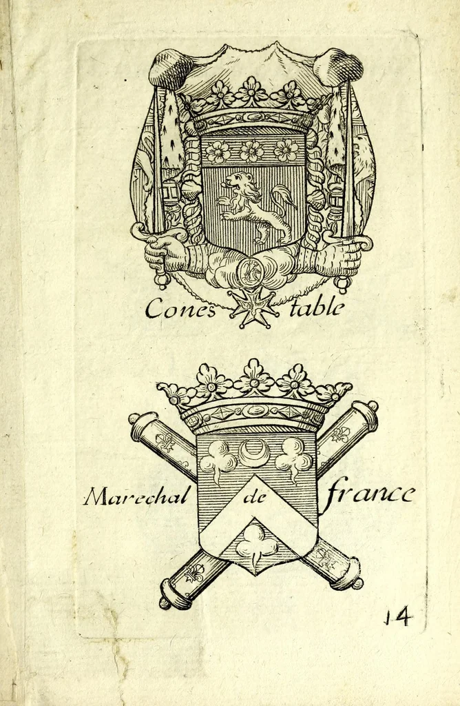 An illustration from Livre du blazon : contenant vne emple explication des metaux et couleurs avec leurs significations, les huict points de l'ecu des differantes couronnes et tenants &c : pour l'vsage des armoiries, leaf 35