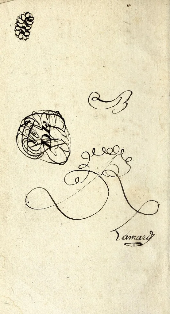 An illustration from Livre sans nom : divisé en cinq dialogues, 1695, leaf 6