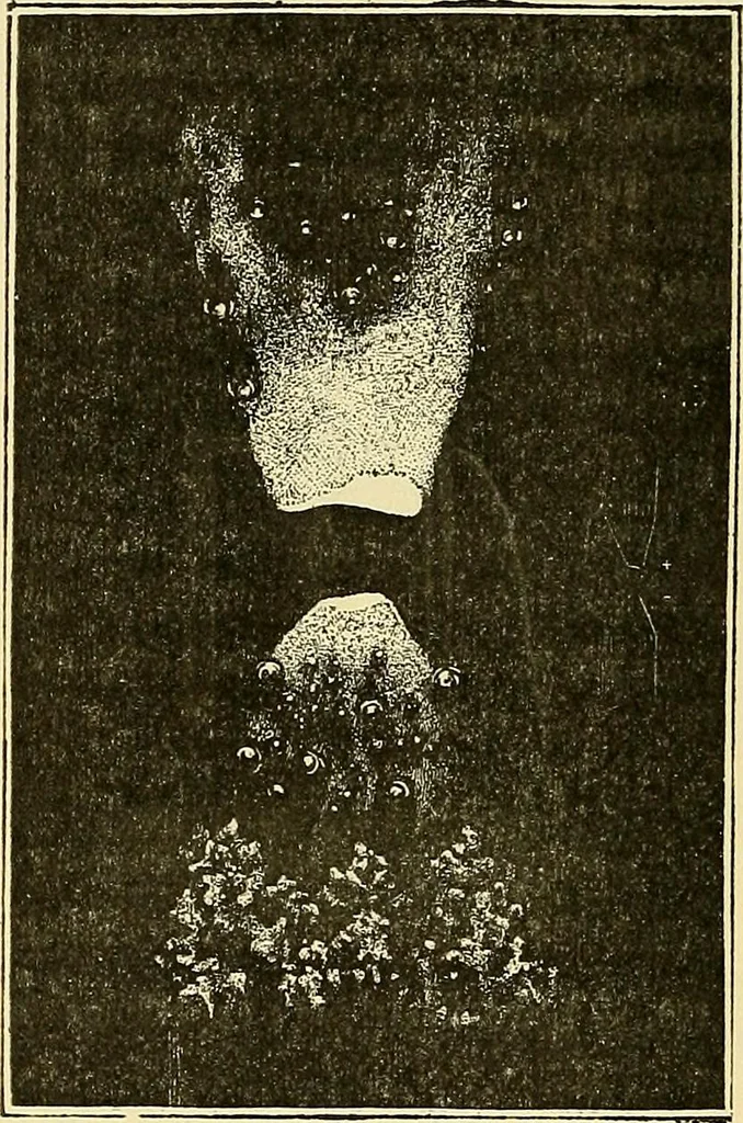 An illustration from L'électricité a la portée de tout le monde, 1906, leaf 183