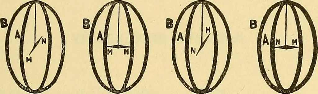 An illustration from L'électricité a la portée de tout le monde, 1906, leaf 346