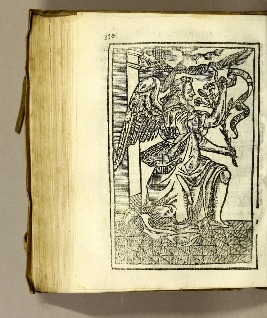 An illustration from Llibre de la congregacio, y germandat de la Sanctissima Verge del Socorro, ab vna noua, y perpetua capellania de innumerables Misses pera los vius, y difuncts della; en la qual, qui viu pot aggregar al mort, que vulga : fundada en los collegis de la Compañia de Iesus de la ciutat de Sancta Fe del nou regne de Granada, y de la fidelissima vila de Perpinya, 1666, leaf 356