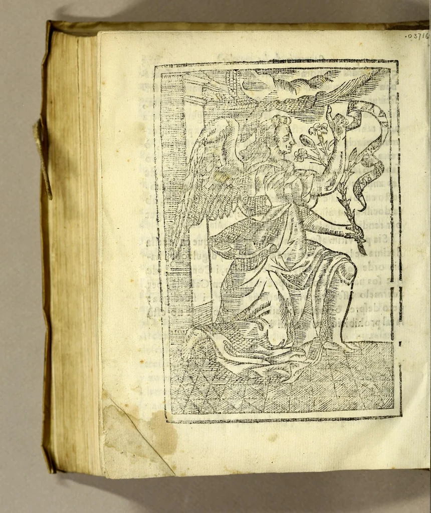 An illustration from Llibre de la congregacio, y germandat de la Sanctissima Verge del Socorro, ab vna noua, y perpetua capellania de innumerables Misses pera los vius, y difuncts della; en la qual, qui viu pot aggregar al mort, que vulga : fundada en los collegis de la Compañia de Iesus de la ciutat de Sancta Fe del nou regne de Granada, y de la fidelissima vila de Perpinya, 1666, leaf 500