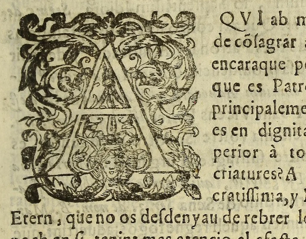 An illustration from Llibre de la congregacio, y germandat de la Sanctissima Verge del Socorro, ab vna noua, y perpetua capellania de innumerables Misses pera los vius, y difuncts della; en la qual, qui viu pot aggregar al mort, que vulga : fundada en los collegis de la Compañia de Iesus de la ciutat de Sancta Fe del nou regne de Granada, y de la fidelissima vila de Perpinya, 1666, leaf 9