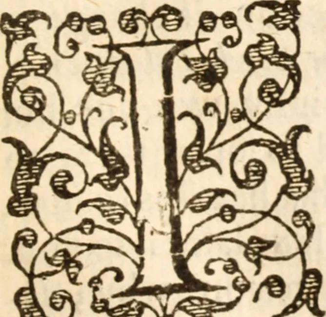An illustration from Life eternall, or, A treatise of the knowledge of the divine essence and attributes : delivered in xviii sermons, 1631, leaf 282