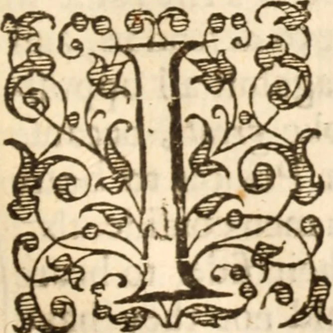 An illustration from Life eternall, or, A treatise of the knowledge of the divine essence and attributes : delivered in xviii sermons, 1631, leaf 348