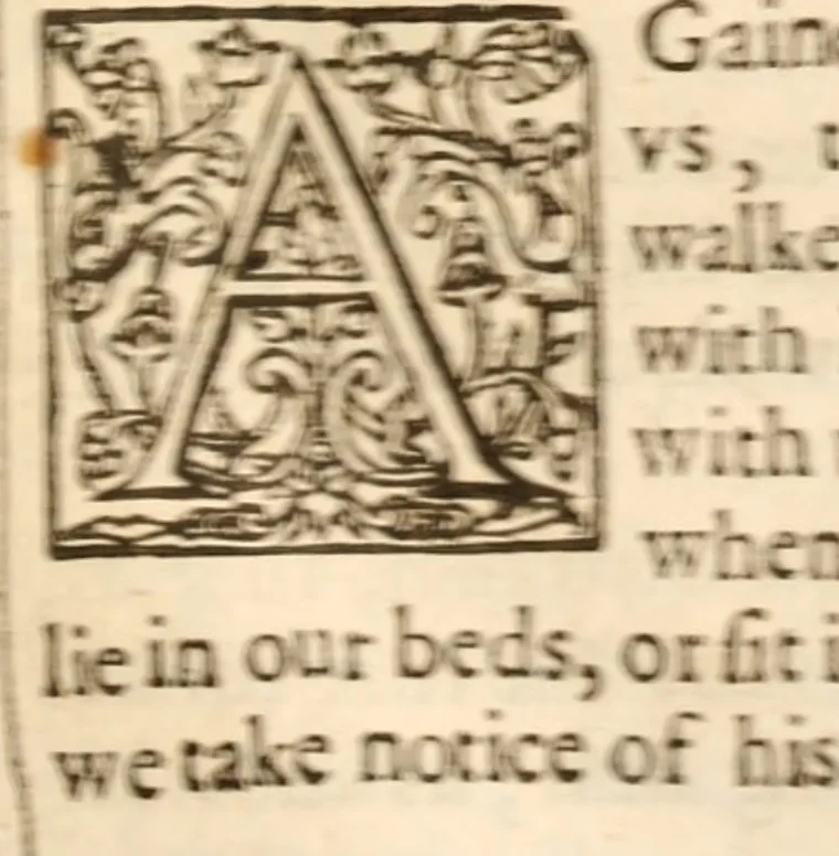 An illustration from Life eternall, or, A treatise of the knowledge of the divine essence and attributes : delivered in xviii sermons, 1631, leaf 370