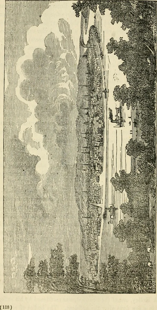 An illustration from Lloyd's steamboat directory, and disasters on the western waters, 1856, leaf 123