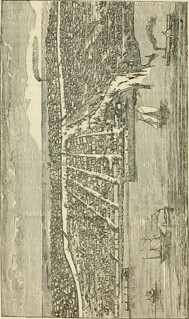 An illustration from Lloyd's steamboat directory, and disasters on the western waters, 1856, leaf 305