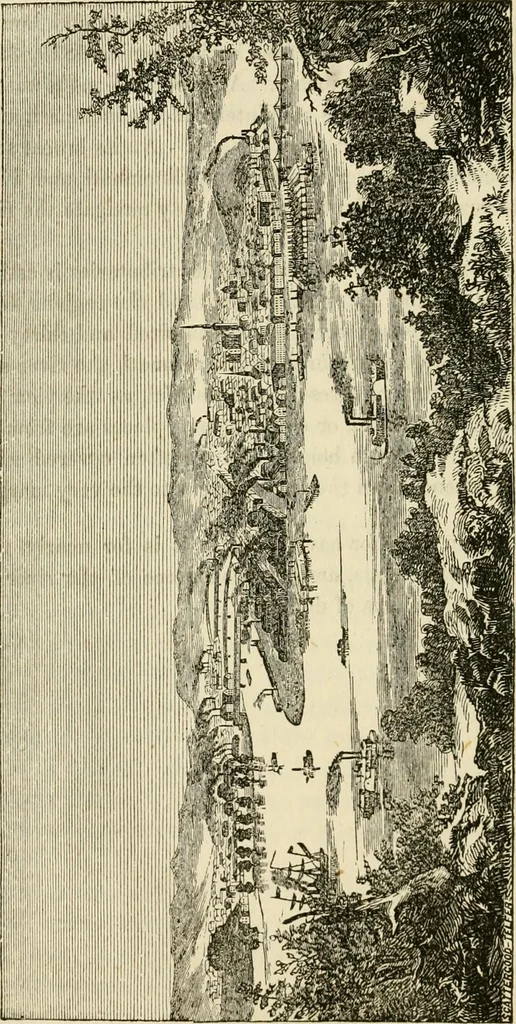 An illustration from Lloyd's steamboat directory, and disasters on the western waters, 1856, leaf 57