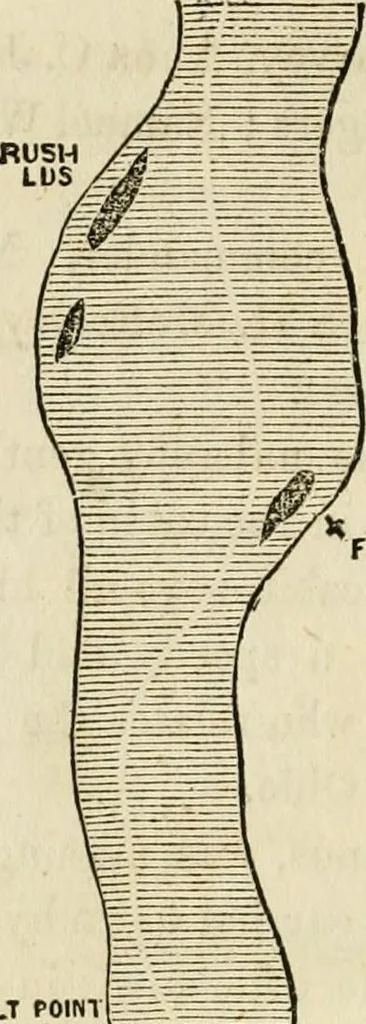 An illustration from Lloyd's steamboat directory, and disasters on the western waters, 1856, leaf 63