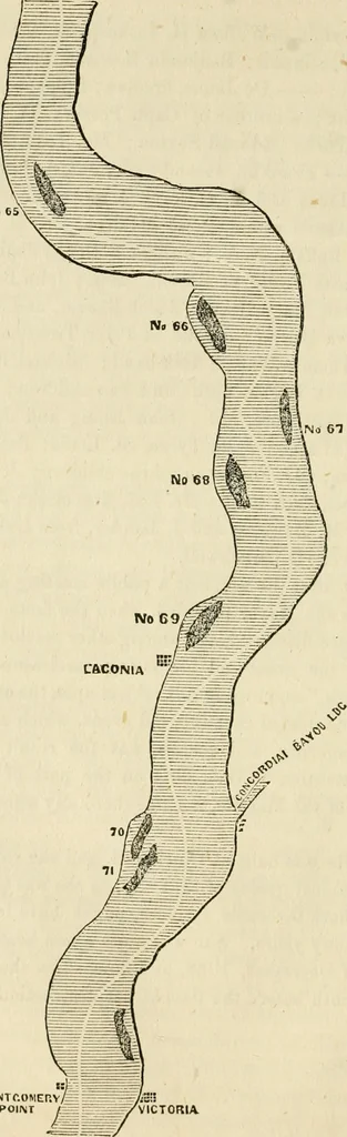 An illustration from Lloyd's steamboat directory, and disasters on the western waters, 1856, leaf 99