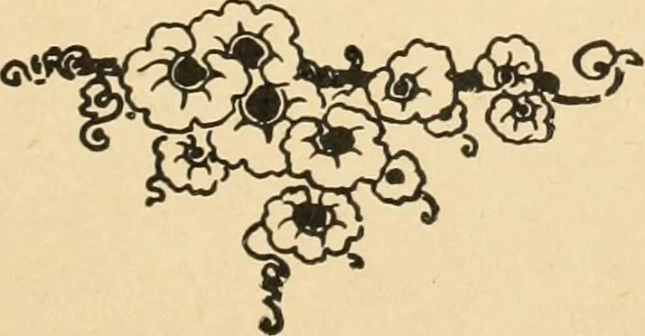 An illustration from Éléments de composition décorative; cent thêmes de décoration plane, 1912, leaf 10