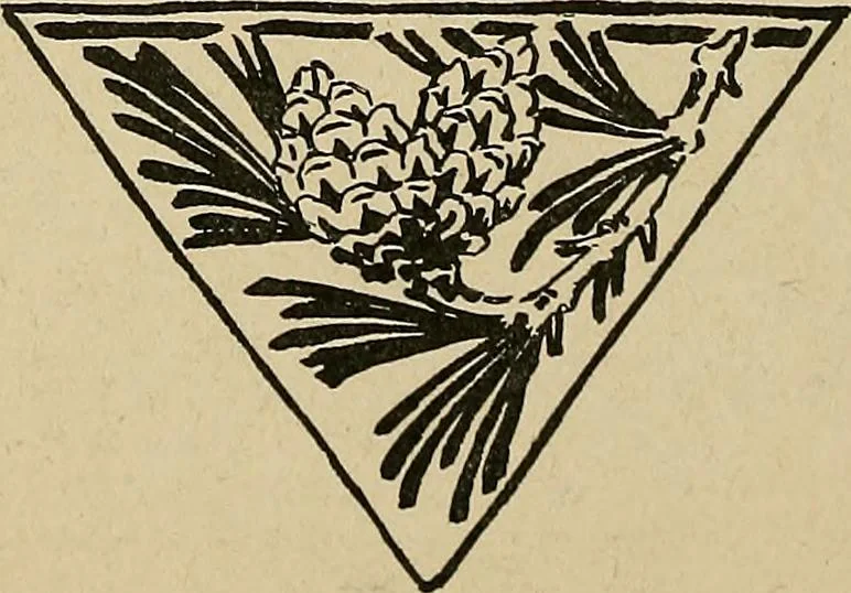 An illustration from Éléments de composition décorative; cent thêmes de décoration plane, 1912, leaf 121