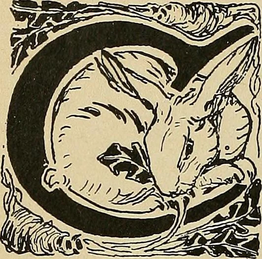An illustration from Éléments de composition décorative; cent thêmes de décoration plane, 1912, leaf 145