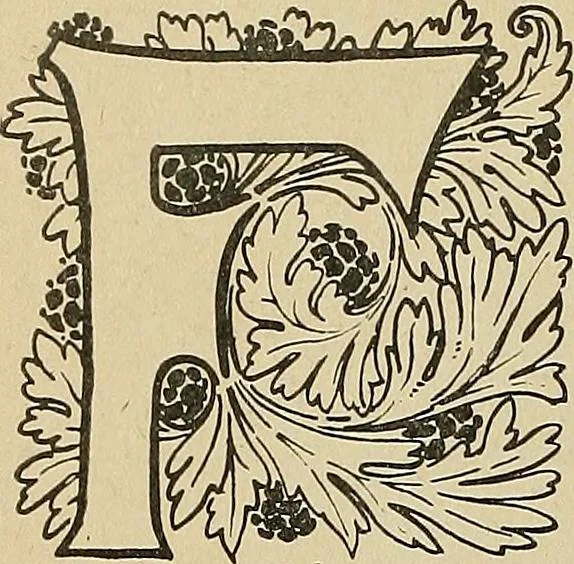 An illustration from Éléments de composition décorative; cent thêmes de décoration plane, 1912, leaf 163