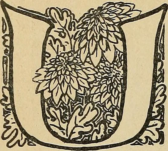 An illustration from Éléments de composition décorative; cent thêmes de décoration plane, 1912, leaf 175